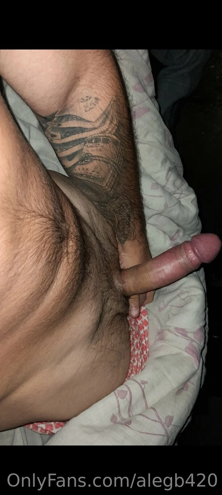 The Dominator top1% 👿🦁🦅🦅🐬🐘